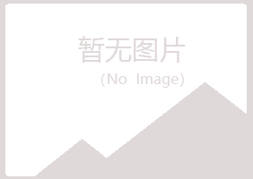 沁阳字迹冶炼有限公司